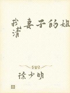 我妻子的姐姐高清