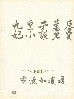 九皇子叶辰林雅妃小说免费阅读