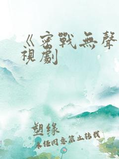 《密战无声》电视剧