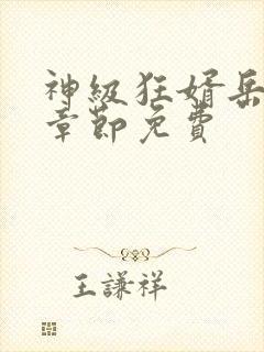 神级狂婿岳风全章节免费