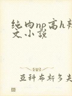 纯肉np高h辣文小说