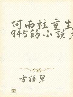 何雨柱重生到1945的小说免费阅读