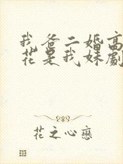 我爸二婚高冷校花是我妹剧