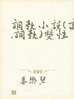 调教小说(高h,调教)双性