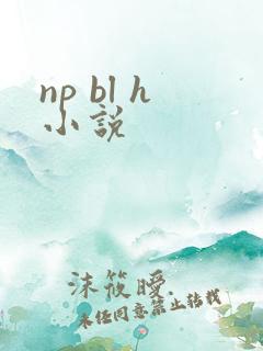np bl h小说