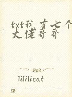 txt我有七个大佬哥哥