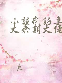 小说我的妻子是大乘期大佬免费阅读