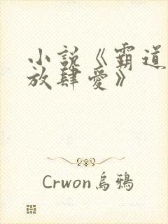 小说《霸道总裁放肆爱》