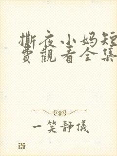 撕夜小妈短剧免费观看全集最新章节