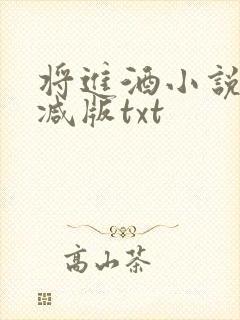 将进酒小说无删减版txt