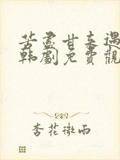 苦尽甘来遇见你韩剧免费观看国语