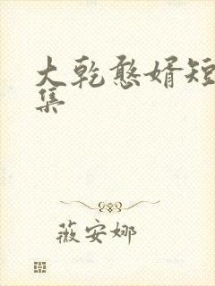 大乾憨婿短剧合集