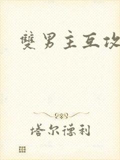 双男主互攻文h