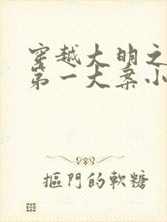 穿越大明之洪武第一大案小说