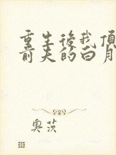 重生后我顶替了前夫的白月光简介