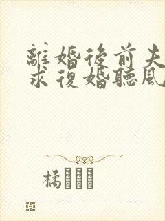 离婚后前夫哭着求复婚听风说雾正版