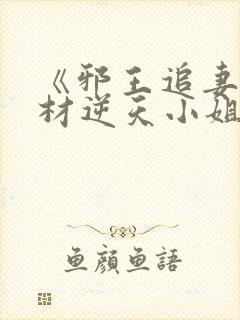 《邪王追妻:废材逆天小姐》txt