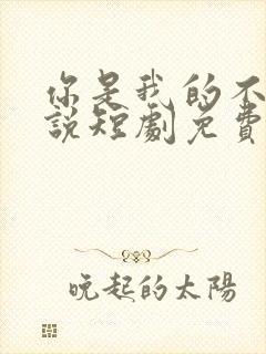 你是我的不可言说短剧免费播放全集