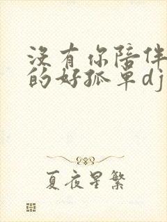 没有你陪伴我真的好孤单dj