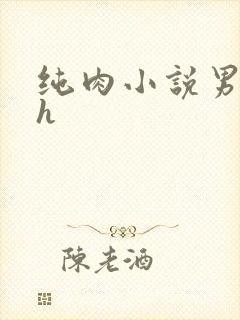 纯肉小说男男高h