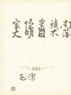 家侄崇祯,打造大明日不落小说 小说