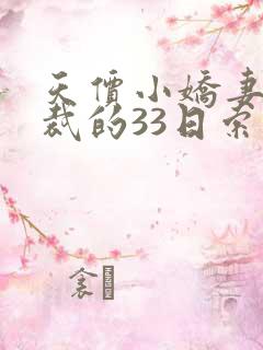 天价小娇妻 总裁的33日索情