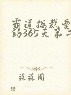 霸道总裁爱上我的365天第二季免费观看