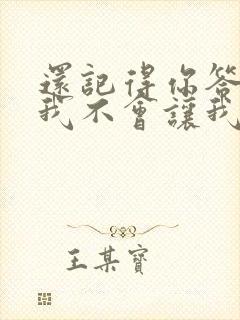 还记得你答应过我不会让我把你找不见歌词