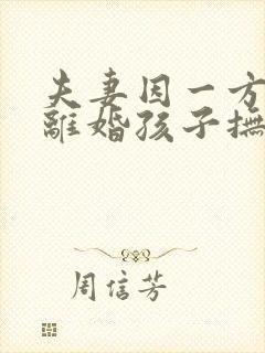 夫妻因一方出轨离婚孩子抚养权怎么判定