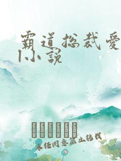 霸道总裁爱上我l小说