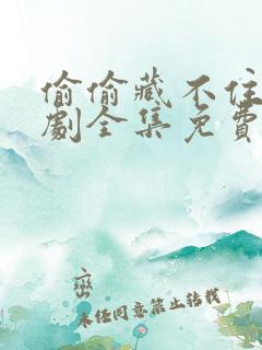 偷偷藏不住电视剧全集免费观看2023