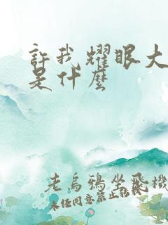 许我耀眼大结局是什么