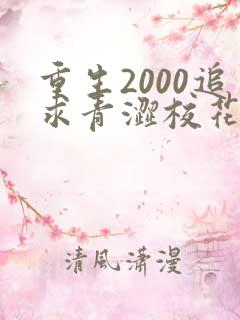 重生2000追求青涩校花同桌开始免费下载txt