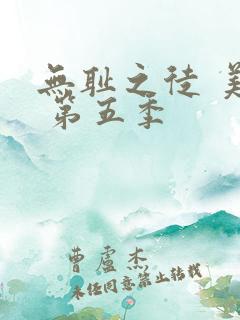 无耻之徒 美版 第五季