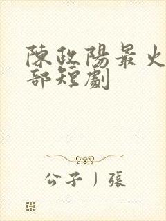 陈政阳最火的十部短剧