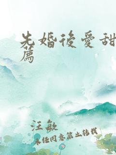 先婚后爱甜文推荐