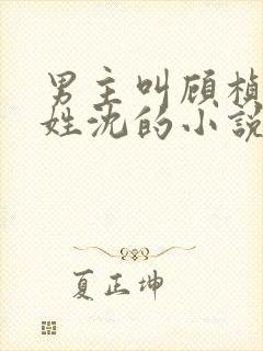 男主叫顾桢女主姓沈的小说