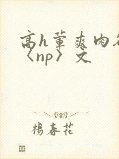 高h荤爽肉欲文〈np〉文