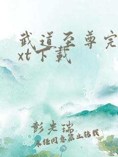 武道至尊完整txt下载