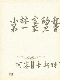 小林家的龙女仆第一季免费在线观看