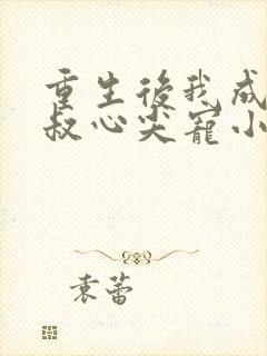 重生后我成了皇叔心尖宠小说