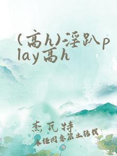 (高h)淫趴play高h