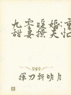 九零暖婚:重生甜妻撩夫忙小说免费阅读