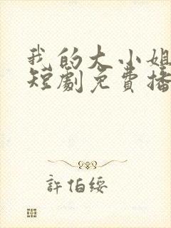 我的大小姐老婆短剧免费播放全集