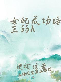 女配成功睡到男主的h