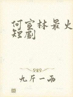 何宣林最火十部短剧