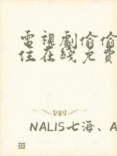 电视剧偷偷藏不住在线免费观看