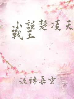 小说楚凌天至尊战王