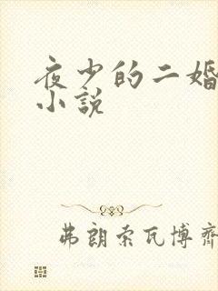 夜少的二婚新妻小说