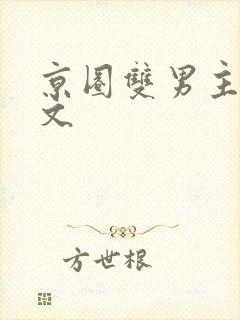 京圈双男主高干文